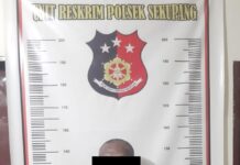 Erwinsyah (50), diringkus Unit Reskrim Polsek Sekupang, yang beraksi di Perumahan Tiban II, Kamis (10/3/2021) siang.