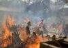 Kerabat korban meninggal menghindari sengatan panas dari beberapa tumpukan kayu pemakaman korban Covid-19 di sebuah krematorium di pinggiran New Delhi, India. (KC/AP)
