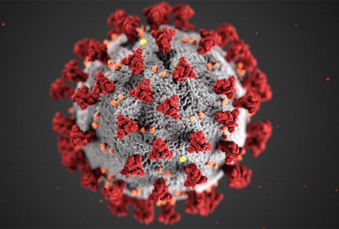 Protein lonjakan di permukaan virus korona menentukan hewan mana yang dapat terinfeksi. CDC.gov