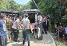 Petugas mengevakuasi korban kecelakaan maut di Jatigede, Sumedang, Jumat (14/5/2021)