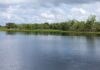 Sungai St Johns yang peka terhadap lingkungan mengalir ke utara dari Indian River County dekat pantai timur Florida, melalui Florida Tengah dan akhirnya ke Jacksonville. (iStock via Fox News)