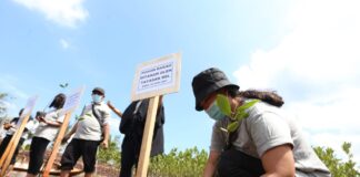 Yayasan Del, Rumah Faye, melakukan aksi penanaman 1.000 bibit pohon bakau di wilayah pesisir pantai Pulau Ngenang, Kecamatan Nongsa.