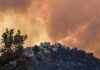Kebakaran hutan di wilayah Kabyle, timur Aljir, 10 Agustus. (Foto: Ryad Kramdi/AFP/Getty Images via Guardian)