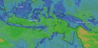 Tangkapan layar prospek tiupan angin dari Australia ke arah Pulau Timor dan Rote Ndao pada Minggu 8 Agustus 2021 di situs Windy.com. (Suryakepri.com)