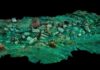 Arkeolog menemukan buah berusia 2400 tahun. Buah ini ada dalam keranjang anyaman yang ditemukan di kota Thonis Herachleion di bawah laut.(Foto: Arsip Christoph Gerigk/Franck Goddio/Hilti Foundation)