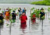 Presiden Joko Widodo rela basah-basahan diterpa hujan dan nyebur ke laut untuk melaksanakan agenda penanaman mangrove bersama masyarakat di Pantai Setokok, Kecamatan Bulang, Kota Batam, Provinsi Kepulauan Riau, Selasa (28/9/2021).