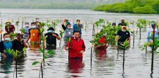 Presiden Joko Widodo rela basah-basahan diterpa hujan dan nyebur ke laut untuk melaksanakan agenda penanaman mangrove bersama masyarakat di Pantai Setokok, Kecamatan Bulang, Kota Batam, Provinsi Kepulauan Riau, Selasa (28/9/2021).