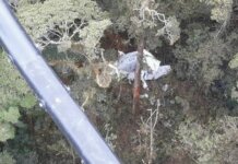 Pesawat Rimbun Air PK-OTW jatuh di Gunung Wabu, Sugapa, Kabupaten Intan Jaya, Papua, Rabu (15/9/2021)