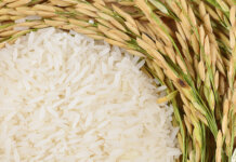 Ombudsman RI meminta Kementerian Perdagangan untuk mengevaluasi besaran harga eceran tertinggi (HET) beras.