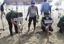 GM PT Timah Tbk Wilayah Operasi Kepri dan Riau Ebbi Wibisana (kanan) ikut menanam bibit mangrove di pesisir pantai Pelambung, Desa Pongkar, Kecamatan Tebing, Karimun, Kamis (30/12/2021). Foto Suryakepri.com/YAHYA