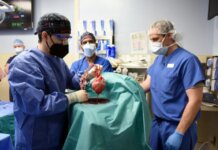 Ahli bedah Dr Muhammad M Mohiuddin memimpin tim menempatkan jantung babi yang dimodifikasi secara genetik ke dalam perangkat penyimpanan di lab Xenotransplantasi sebelum ditransplantasikan ke David Bennett, seorang pasien berusia 57 tahun dengan penyakit jantung terminal [University of Maryland School of Medicine via Reuters]