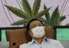 Menkes Thailand, Anutin Charnvirakul, ingin dorong ganja sebagai tanaman untuk medis. (AP/Sakchai Lalit)