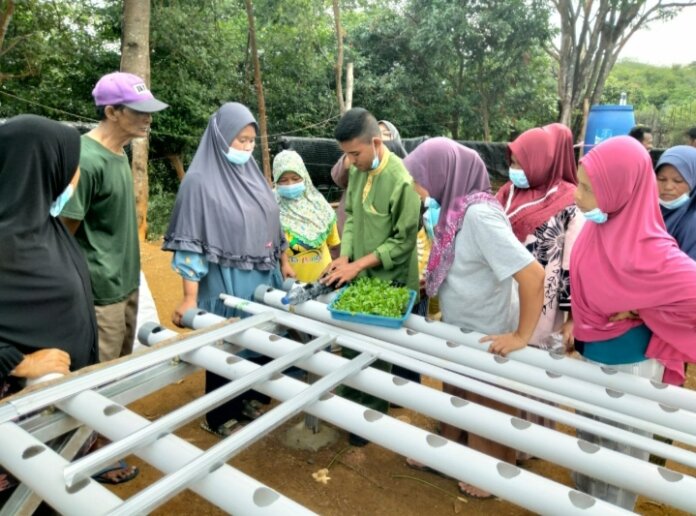 Ibu-ibu kelompok wanita di Pulau Stunak, Kecamatan Selat Gelam, Karimun serius mengikuti pelatihan pengembangan pertanian hidroponik yang ditaja PT Timah Tbk. Foto Suryakepri.com/IST