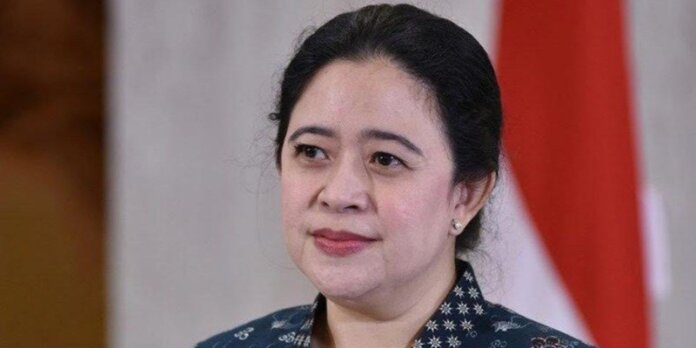 Ketua DPR RI Puan Maharani (Foto Dok)