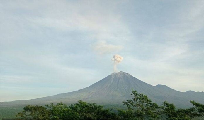 Gunung Semeru Keluarkan Abu Vulkanik. Foto: ( BPBD Lumajang)